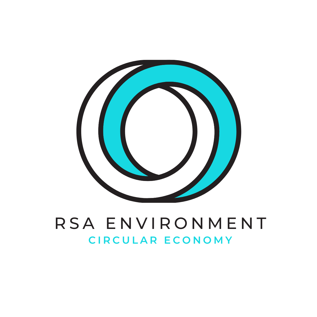 rsaenvironment.co.uk
